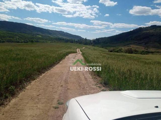 Sítio e chácara venda em Alecrim, Curiúva