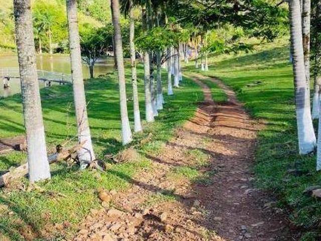 Sítio e chácara venda em São Jerônimo da Serra, Região Geográfica Intermediária de Londrina