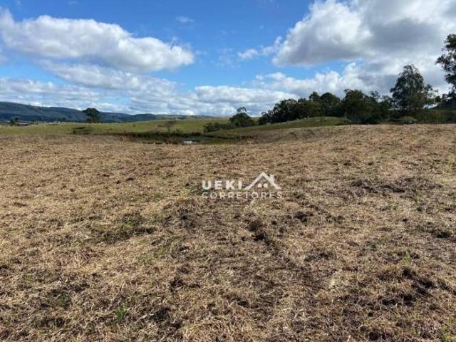 Sítio e chácara venda em São Jerônimo da Serra, Região Geográfica Intermediária de Londrina