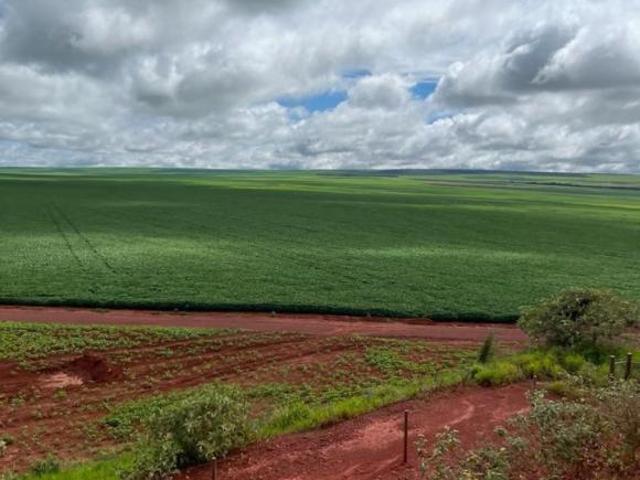 Sítio e chácara venda em Região Geográfica Imediata de Flores de Goiás, São João d'Aliança