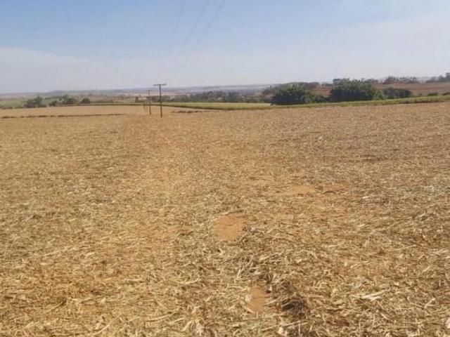 Sítio e chácara venda em Região Geográfica Imediata de Gurupi, Formoso do Araguaia
