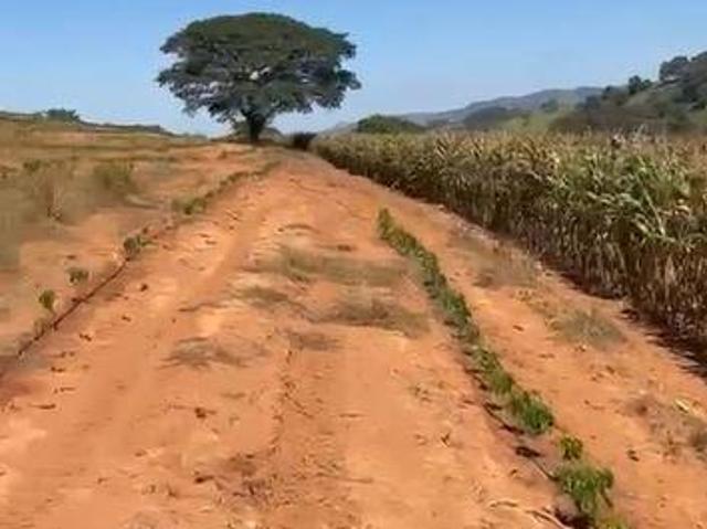 Sítio e chácara venda em Região Geográfica Imediata de Gurupi, Formoso do Araguaia