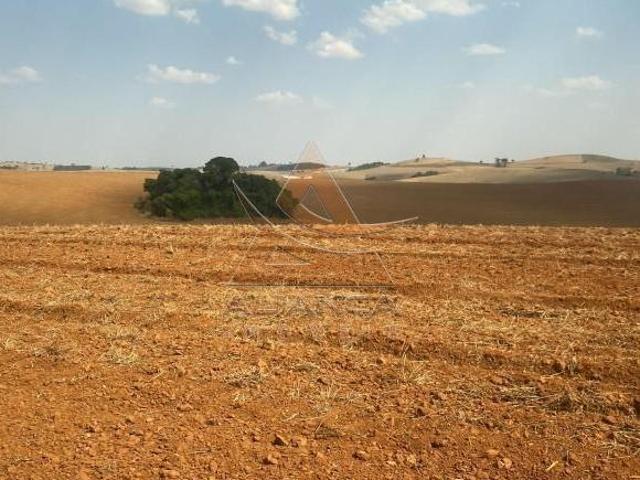 Sítio e chácara venda em Região Geográfica Imediata de Pouso Alegre, São João da Mata