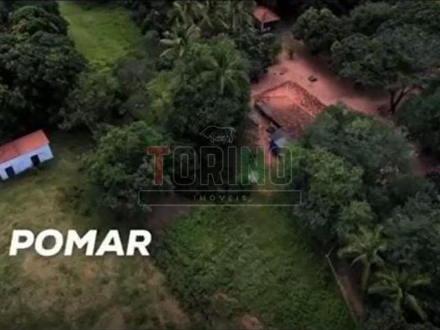 Sítio e chácara venda em Região Geográfica Imediata de Montes Claros, São João da Ponte