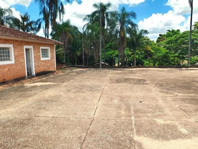 Sítio e chácara venda em Região Imediata de São José do Rio Pardo-Mococa, São José do Rio Pardo
