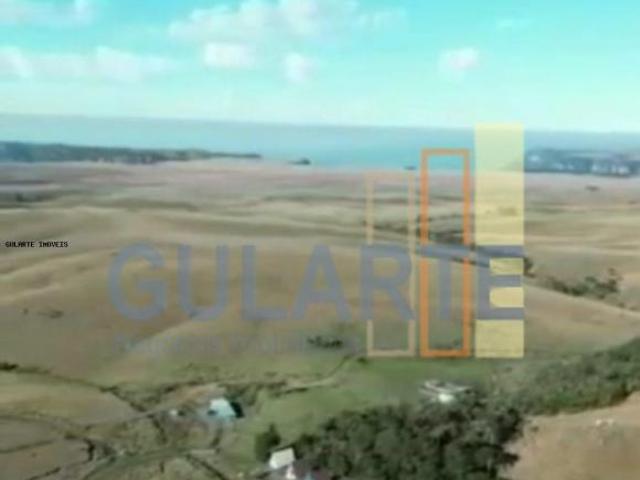 Sítio e chácara venda em Região Geográfica Imediata de Vacaria, São José dos Ausentes