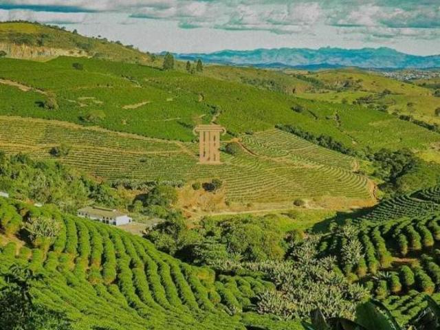 Sítio e chácara venda em Região Geográfica Imediata de Teófilo Otoni, Nanuque