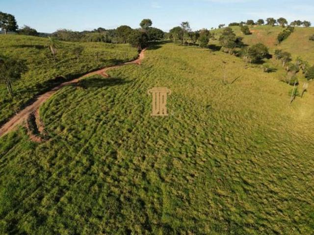 Sítio e chácara venda em São Luís de Montes Belos, Região Geográfica Intermediária de São Luís de Montes Belos-Iporá