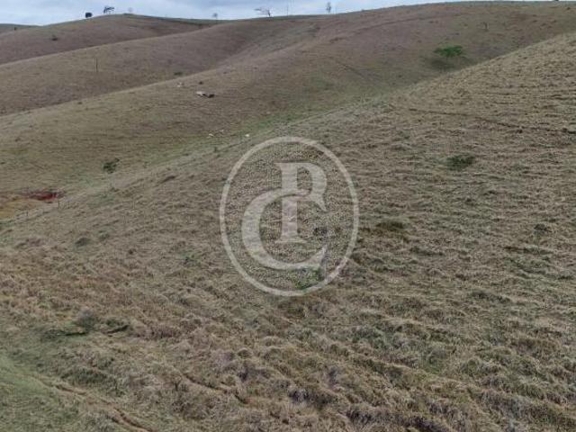 Sítio e chácara venda em Região Imediata de Campinas, Região Metropolitana de Campinas