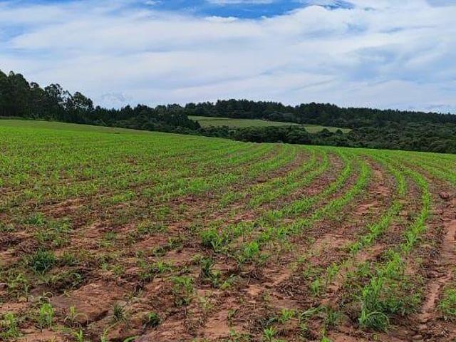 Sítio e chácara venda em Região Imediata de Itapetininga, Região Metropolitana de Sorocaba