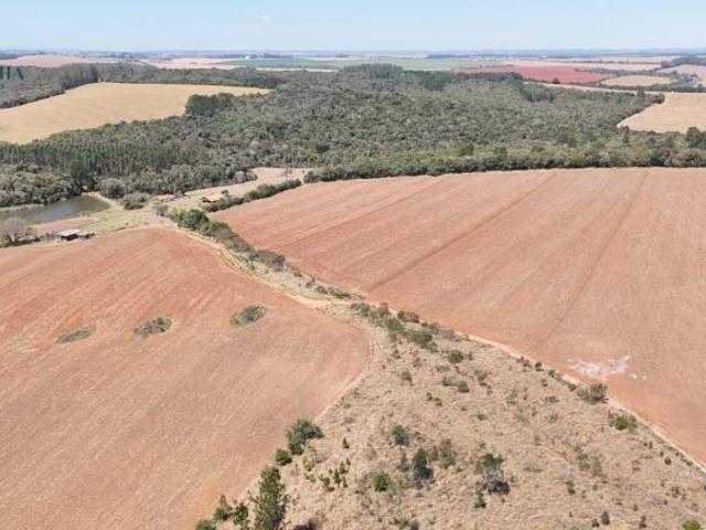 Sítio e chácara venda em São Miguel Arcanjo