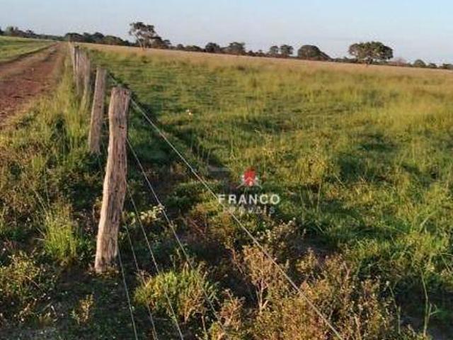 Sítio e chácara venda em Região Geográfica Imediata de Porangatu, São Miguel do Araguaia