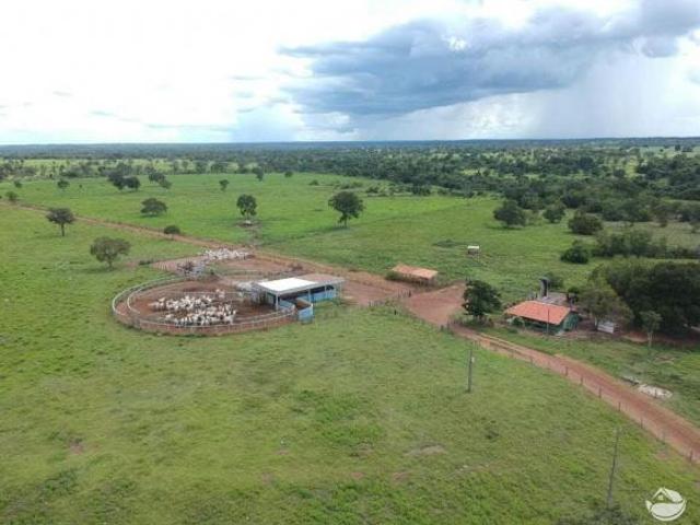 Sítio e chácara venda em Região Geográfica Imediata de Porangatu, São Miguel do Araguaia