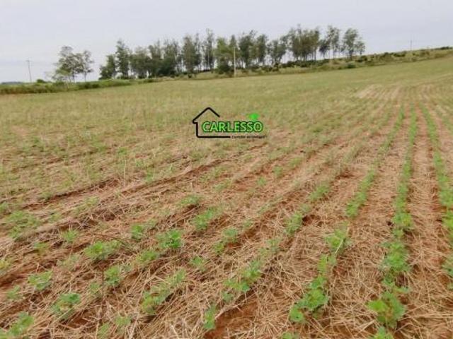 Sítio e chácara venda em São Pedro do Sul