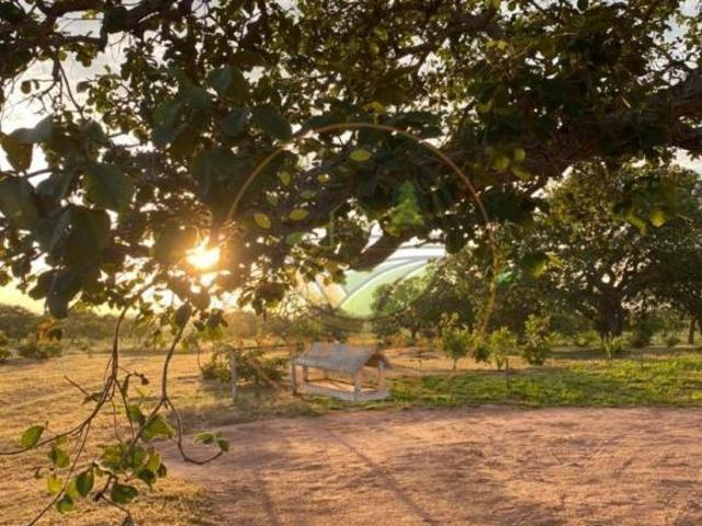 Sítio e chácara venda em Região Geográfica Imediata de São Francisco, São Romão