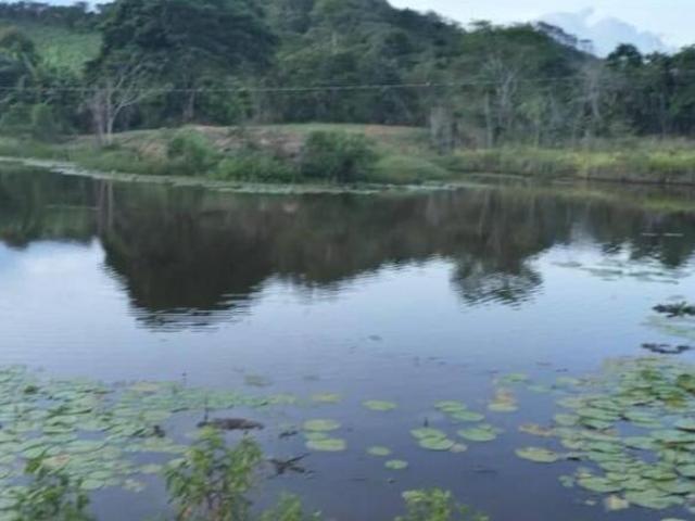 Sítio e chácara venda em Região Geográfica Imediata de Ipatinga, Região Metropolitana do Vale do Aço