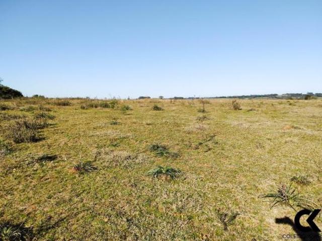 Sítio e chácara venda em Região Geográfica Imediata de Santa Maria, São Sepe