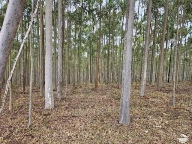 Sítio e chácara venda em Região Geográfica Imediata de São João del Rei, São Vicente de Minas