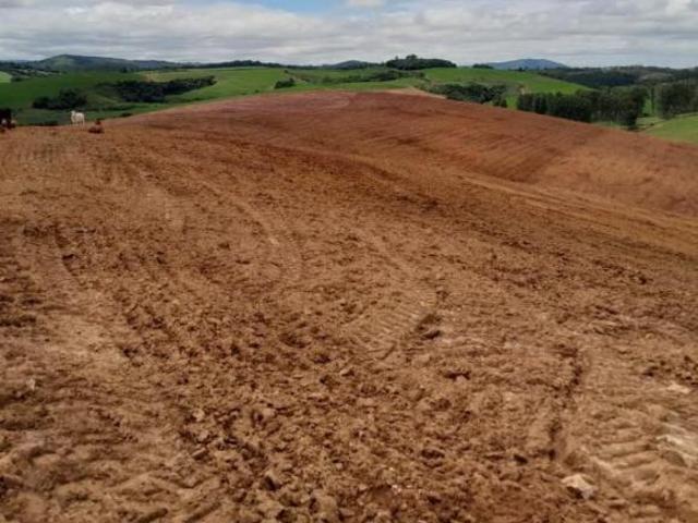 Sítio e chácara venda em Região Geográfica Imediata de São João del Rei, São Vicente de Minas
