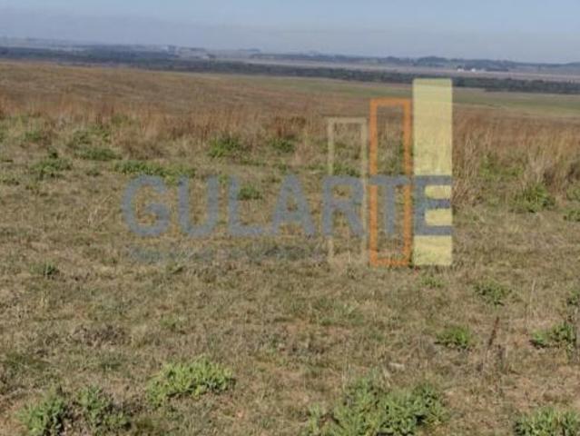 Sítio e chácara venda em Região Geográfica Imediata de Santa Maria, São Vicente do Sul
