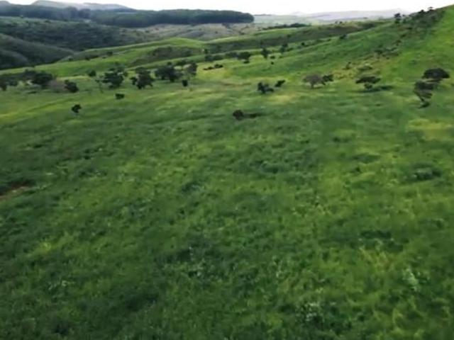 Sítio e chácara venda em Região Geográfica Imediata de Gurupi, Formoso do Araguaia