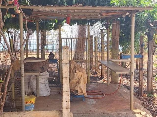 Sítio e chácara venda em Região Imediata de Jales, Santa Albertina