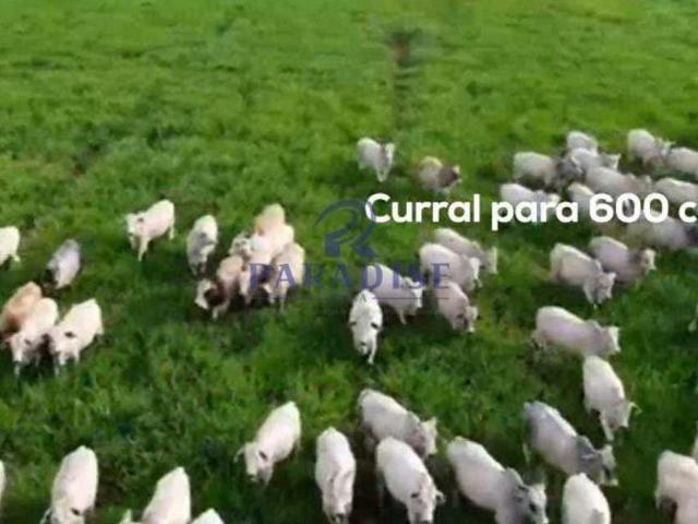 Sítio e chácara venda em Região Geográfica Imediata de Rio Verde, Santa Helena de Goiás