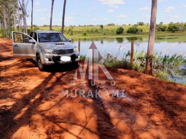 Sítio e chácara venda em Região Geográfica Imediata de Três Lagoas, Santa Rita do Pardo