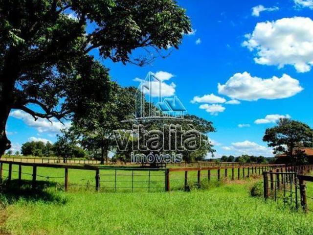 Sítio e chácara venda em Região Imediata de Ribeirão Preto, Região Metropolitana de Ribeirão Preto