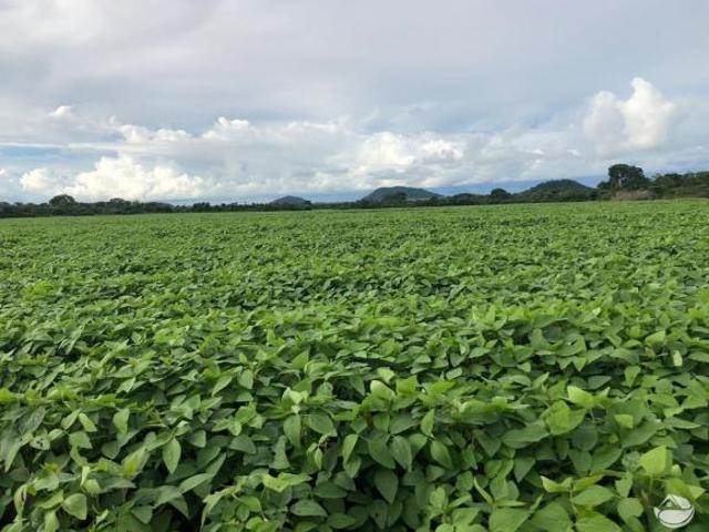 Sítio e chácara venda em Região Geográfica Imediata de Confresa - Vila Rica, Santa Terezinha