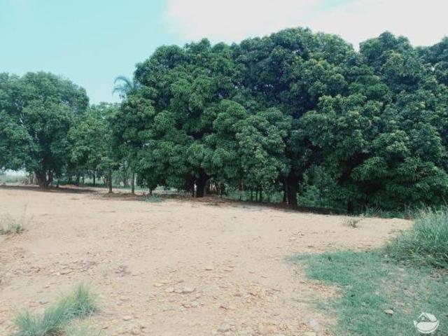 Sítio e chácara venda em Chaveslândia, Santa Vitória