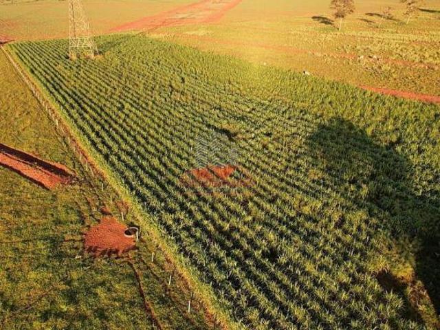 Sítio e chácara venda em Região Geográfica Imediata de Ituiutaba, Santa Vitória