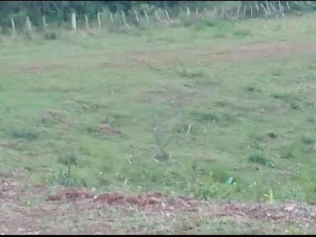 Sítio e chácara venda em Região Geográfica Imediata de São Gabriel - Caçapava do Sul, Santana da Boa Vista