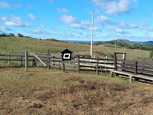 Sítio e chácara venda em Região Geográfica Imediata de São Gabriel - Caçapava do Sul, Santana da Boa Vista