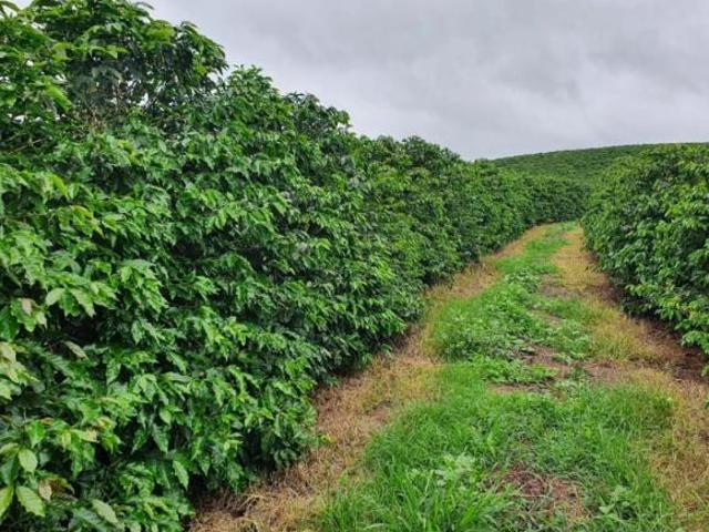 Sítio e chácara venda em Santana da Vargem, Região Geográfica Intermediária de Varginha