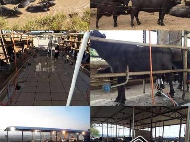 Sítio e chácara venda em Santana do Itararé, Região Geográfica Intermediária de Londrina