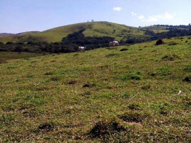 Sítio e chácara venda em Região Geográfica Imediata de Campo Belo, Santana do Jacaré
