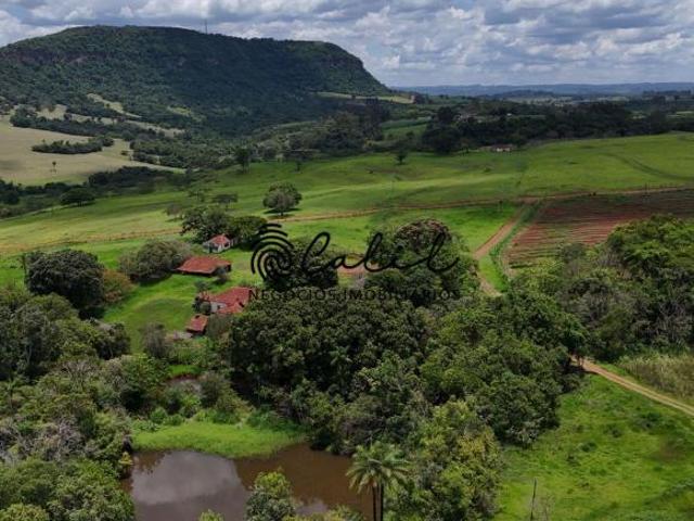 Sítio e chácara venda em Região Imediata de Ribeirão Preto, Região Metropolitana de Ribeirão Preto