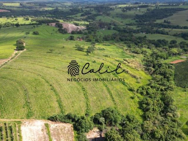 Sítio e chácara venda em Região Imediata de Ribeirão Preto, Região Metropolitana de Ribeirão Preto