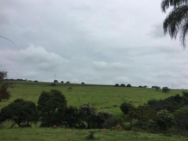 Sítio e chácara venda em Santo Antônio do Amparo, Região Geográfica Intermediária de Varginha