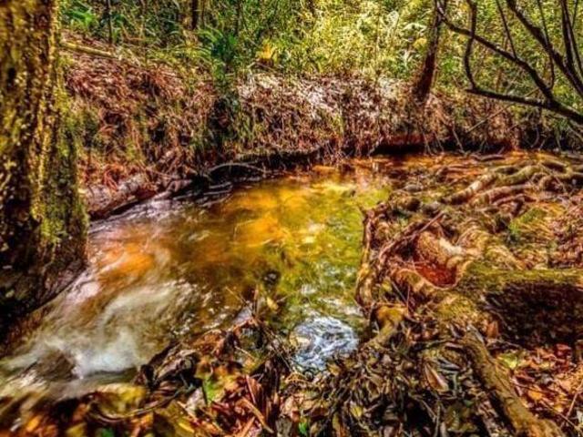 Sítio e chácara venda em Região Imediata de Taubaté-Pindamonhangaba, Região Metropolitana do Vale do Paraíba e Litoral Norte