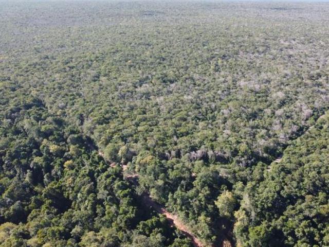 Sítio e chácara venda em Sapezal, Região Geográfica Intermediária de Cuiabá