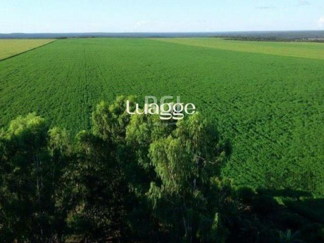 Sítio e chácara venda em Região Geográfica Imediata de Tangará da Serra, Sapezal