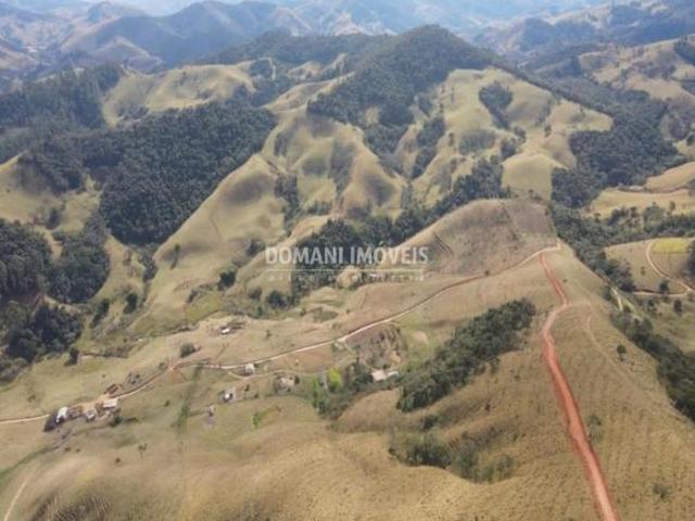 Sítio e chácara venda em Sapucaí-Mirim