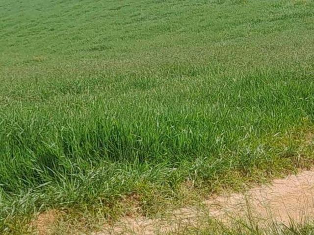 Sítio e chácara venda em Região Geográfica Imediata de Caxambu - Baependi, Seritinga