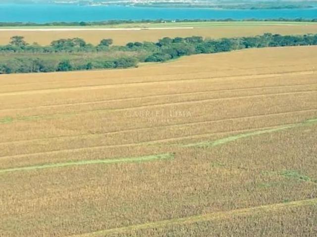 Sítio e chácara venda em Região Geográfica Imediata de Cornélio Procópio-Bandeirantes, Sertaneja