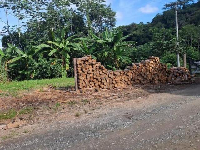 Sítio e chácara venda em Região Imediata de Registro, Sete Barras