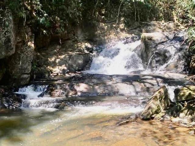 Sítio e chácara venda em Região Imediata de Cruzeiro, Região Metropolitana do Vale do Paraíba e Litoral Norte