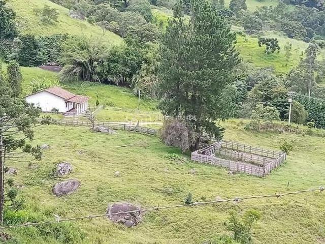 Sítio e chácara venda em Região Imediata de Cruzeiro, Região Metropolitana do Vale do Paraíba e Litoral Norte