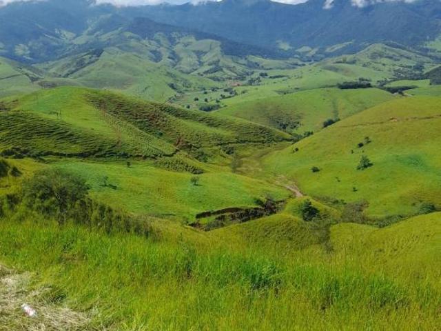 Sítio e chácara venda em Região Imediata de Cruzeiro, Região Metropolitana do Vale do Paraíba e Litoral Norte